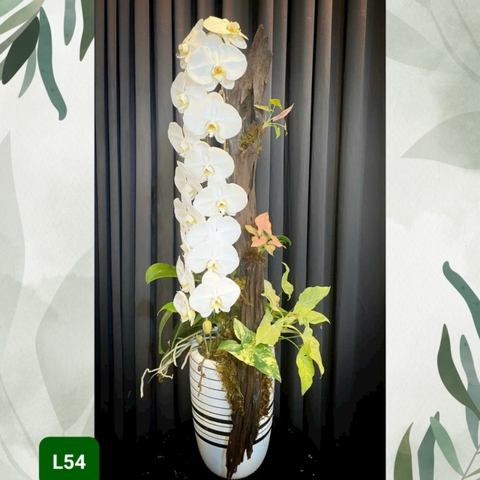 L54 Thiết kế Sang Trọng