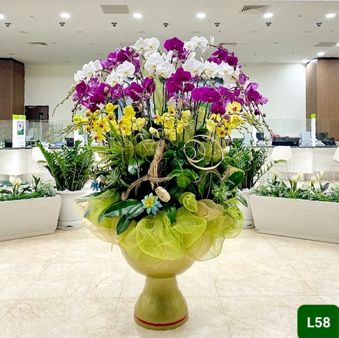 L58 Thiết kế Sang Trọng