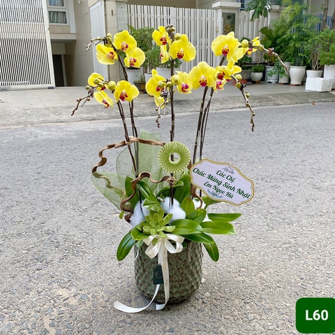 L60 Thiết kế Sang Trọng