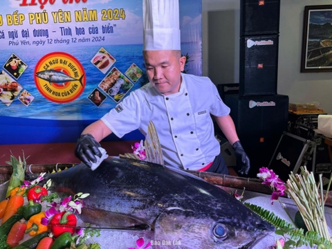 Lễ hội Cá ngừ Đắk Lắk 2026