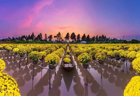 Cẩm nang Du lịch Đồng Tháp 2026 từ A-Z: Chơi gì? Ăn gì? Ở đâu?