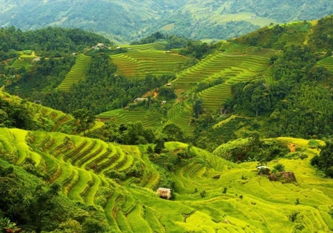 Cẩm nang Du lịch Sơn La 2026 từ A-Z: Chơi gì? Ăn gì? Ở đâu?