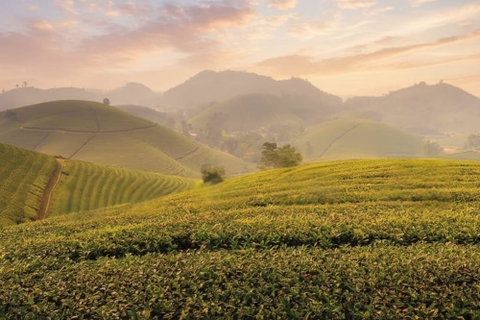 Cẩm nang Du lịch Thái Nguyên 2026 từ A-Z: Chơi gì? Ăn gì? Ở đâu?