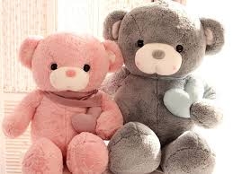 Cách giặt gấu bông to lớn bằng tay và máy giặt tại nhà