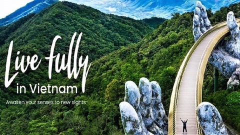 Top 5 Cách Quảng Bá Du Lịch Địa Phương/Việt Nam Hiệu Quả Thời Đại Số