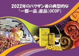 Quảng bá hình ảnh sản phẩm OCOP bằng Catalogue và Brochure