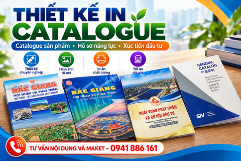 Thiết kế Catalogue, Profile công ty đẹp ấn tượng tại Hà Nội