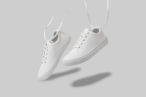 [Hàng Auth Full box] Giày thương hiệu Anh Projext Co UK Scooter All white - Trắng