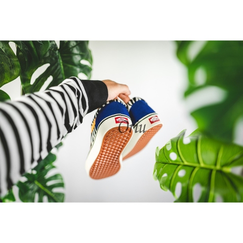 Giày Vans Chính Hãng Old Skool Zebra Blue Comfycush