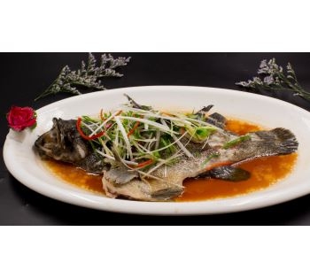 清蒸石斑鱼 Cá Mú Hấp
