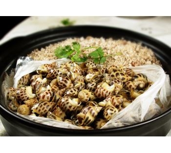 盐焗花螺 Ốc Hương Hấp Muối