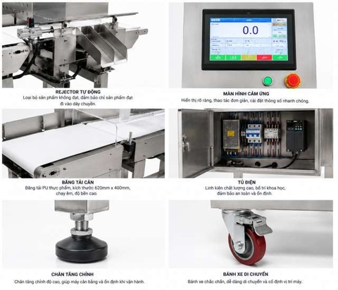 Máy kiểm tra trọng lượng tự động BLUEZEIZ CQ-XP400 checkweigher 20g–15kg