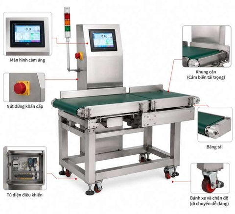 Máy kiểm tra trọng lượng tự động BLUEZEIZ CQ-XP600 checkweigher đến 60kg