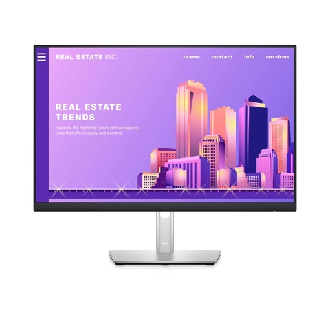 Màn hình DELL P2422H 23.8 Inch
