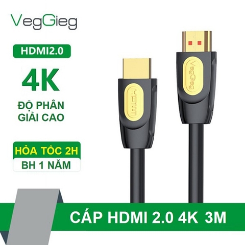 Dây HDMI 3m V_H205 VEGGEIG 4K