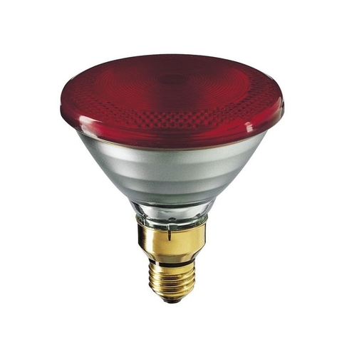 Bóng đèn hồng ngoại Philip 150W