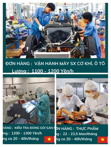 TỔNG HỢP CÁC LĨNH VỰC, NGÀNH NGHỀ TIẾP NHẬN THỰC TẬP SINH VIỆT NAM SANG NHẬT BẢN