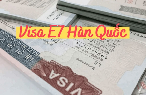 VISA E7 HÀN QUỐC LÀ GÌ?