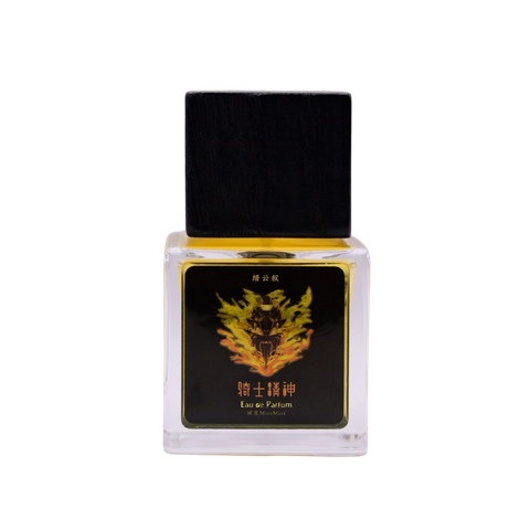 Tinh Thần Kỵ Sĩ