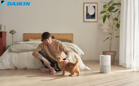 Máy lọc không khí hút lông chó mèo: Giải pháp cho người yêu thú cưng