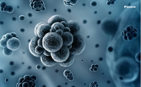 Cách xử lý máy lạnh có mùi hôi có thể bạn chưa biết ?