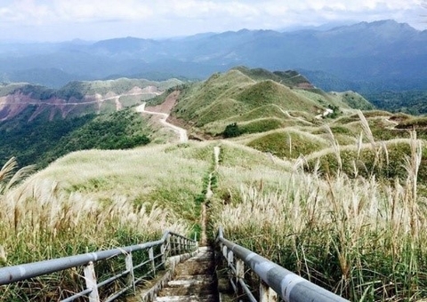 BÌNH LIÊU MÙA HOA LAU (2 Ngày 1 đêm)