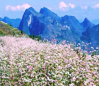 HÀ GIANG – MIỀN ĐÁ NỞ HOA, SÔNG NHO QUẾ (3N2Đ)