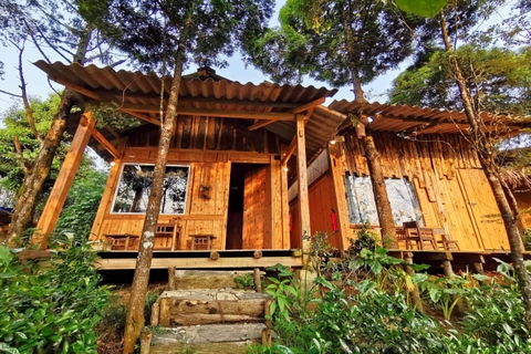 Jungle Homestay Sapa