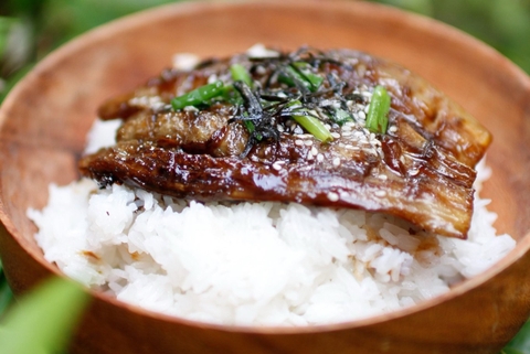 CƠM “LƯƠN” NHẬT CHAY