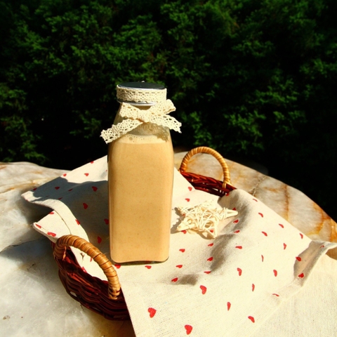 SỮA HẠT TỪ A ĐẾN Z