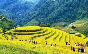TOUR MÙ CANG CHẢI - SAPA - LAI CHÂU - ĐIỆN BIÊN - MỘC CHÂU - MAI CHÂU
