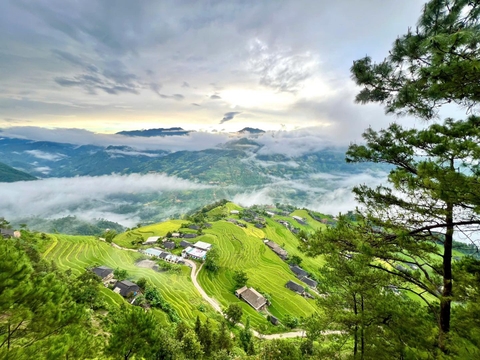 TOUR HÀ NỘI - HOÀNG SU PHÌ - BẢN PHÙNG - BẮC HÀ 3 NGÀY 2 ĐÊM