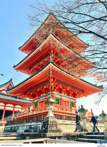 TOUR NHẬT BẢN GIÁ RẺ: SHIZUOKA - NÚI PHÚ SĨ - TOKYO