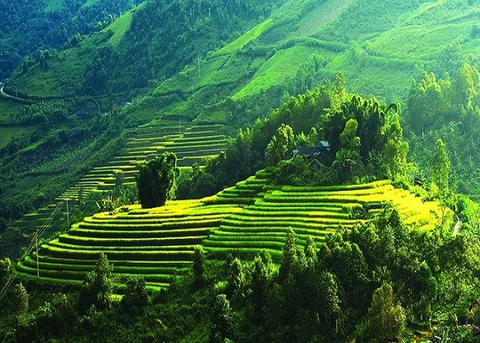 TOUR  HÀ NỘI – SƠN LA – ĐIỆN BIÊN- MỘC CHÂU 3 NGÀY 2 ĐÊM