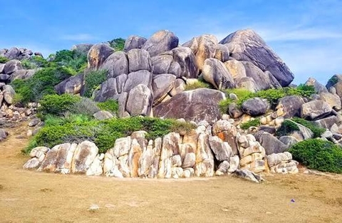 TOUR ĐẢO CÙ LAO XANH 1N
