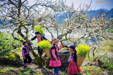 TOUR DU XUÂN MỘC CHÂU - CHÙA PHẬT QUANG 2 NGÀY 1 ĐÊM