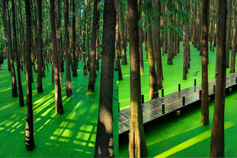 TOUR THƯỢNG HẢI HÀNG CHÂU Ô TRẤN ĐỒN KHÊ 6 NGÀY 5 ĐÊM