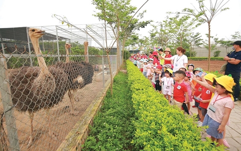 TOUR DU LỊCH PHÙ ĐỔNG GREEN PARK 1 NGÀY DÀNH CHO HỌC SINH