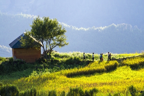 TOUR Y TÝ MÙA LÚA MÙA MÂY 2 NGÀY 1 ĐÊM TỪ HÀ NỘI