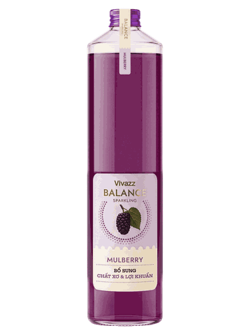 Vivazz Balance - Nước trái cây có chất xơ và lợi khuẩn - vị Dâu tằm - 330 ml