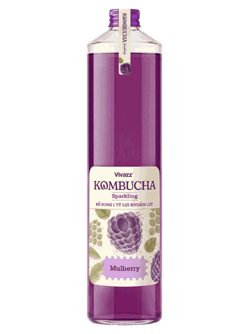Vivazz trà Kombucha - Dâu tằm - 330 ml