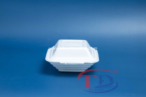 Sticky rice foam box