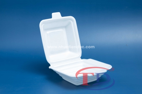 Sticky rice foam box