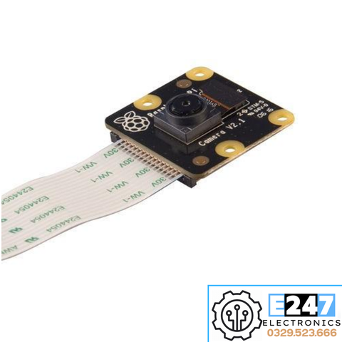 RASPBERRY PI CAMERA MODULE NOIR (HỒNG NGOẠI) V2 8MP