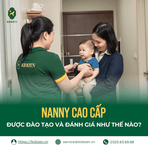 NANNY CAO CẤP ĐƯỢC ĐÀO TẠO VÀ ĐÁNH GIÁ NHƯ THẾ NÀO?
