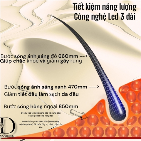 Đèn hồng ngoại quang học kích mọc tóc 48 bóng led, giảm rụng tóc, giảm dầu, kích nang tóc con