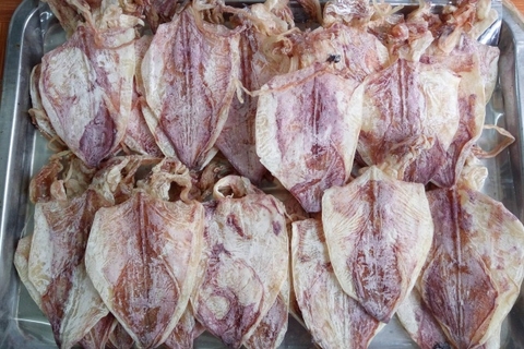 MỰC ĐỒNG TIỀN : XÔ - NHỎ