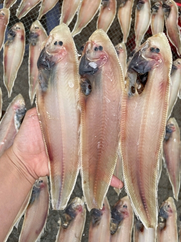 KHÔ CÁ LƯỠI CHÂU