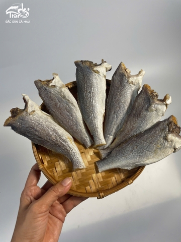 KHÔ CÁ ĐÙ LẠT - CỠ ĐẠI