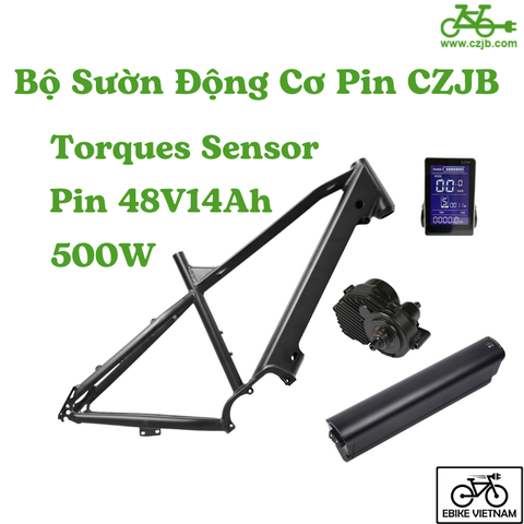 COMBO PIN SƯỜN ĐỘNG CƠ CZJB 48V750W TORQUES SENSOR